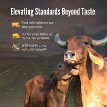 Load image into Gallery viewer, A2 Gir Cow Ghee